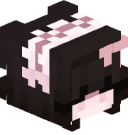 ezdolphin