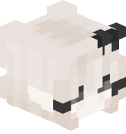 aqqt