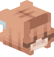 JavaConsumer