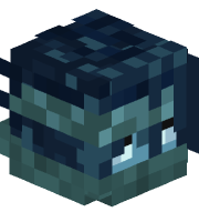 Iuir