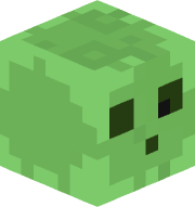 Rarisaurus12