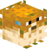 Braithy14