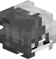 Calliz