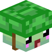 Zumekk13