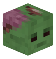 Abuttal