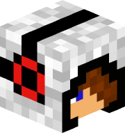 Goose13244