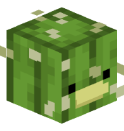 Xtsm_fr