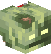 maximbrnmr
