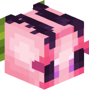 AtlasVXZ
