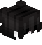 joaco_08