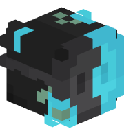 K1N17