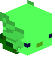 BotherEdko