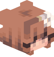 DenjiHayakawa