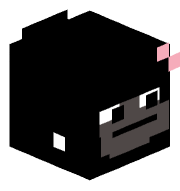 Stevezinxz
