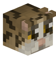 qyzt