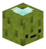 Zeeaugurk