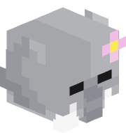 Chippy_kittens