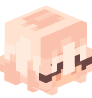 Mycelium005