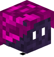 shoombool16