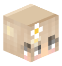 coincleaner 3D head