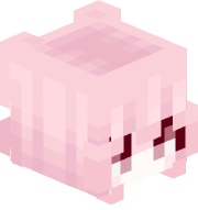 s4n3s1nner