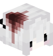 Zaidfr