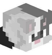 Skepptics