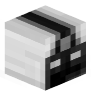Leejam013