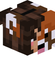 TheMixGamerGirl