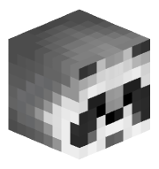 Segsy_Raccoon
