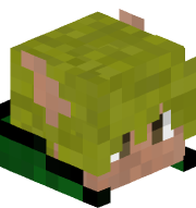 An image of the person's Minecraft head provided by mc-heads.net