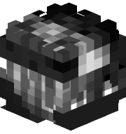 ss1mm2xx2