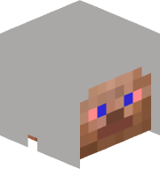 Silkb234