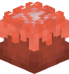 Голова Minecraft — Anemonae (sea tomato)