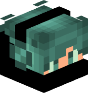 Denozort