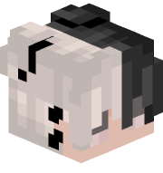 Noncitou