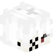 sindedx