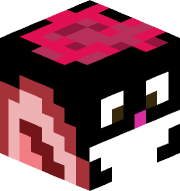 oliwier77pro