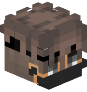 beggineR21