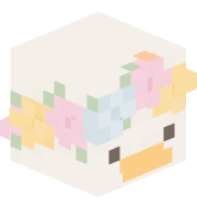 nlcoleeh