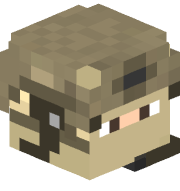 1er_RPIMa