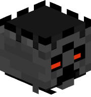 T_Raid_Er
