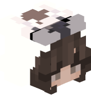 melted_icex