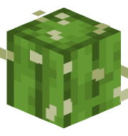 vlcplayer_