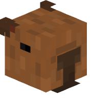 ChillCapy_Vai