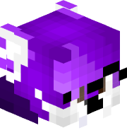 eithe55