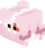 BeyazAxolotl