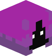 The_Spellcaster
