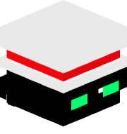 RaysMC
