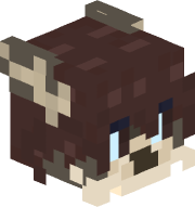 aeroscoutt